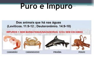 Puro e Impuro
 