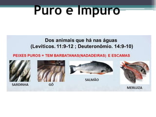Puro e Impuro
 