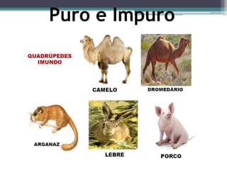 Puro e Impuro
 