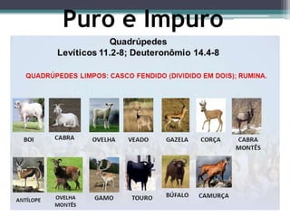 Puro e Impuro
 