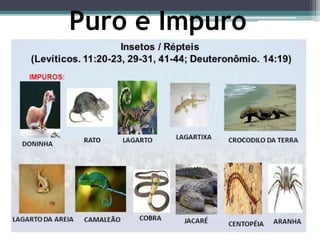 Puro e Impuro
 