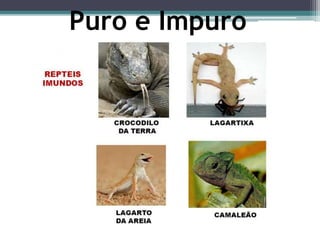 Puro e Impuro
 
