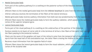  Medial Geniculate body
• Form part of the auditory pathway & is a swelling on the posterior surface of the thalamus beneath the
pulvinar
• Afferent fibers to the medial geniculate body form the inferior brachium & come from the inferior colliculus
• Inferior colliculus receives the termination of the fibers of the lateral lemniscus
• Medial geniculate body receives auditory information from both ears but predominantly from the opposite ear
• Efferent fibers leave the medial geniculate body to form the auditory radiation, which passes to the auditory
cortex of the superior temporal gyrus
 Lateral Geniculate body
• Forms part of the visual pathway & is a swelling on the undersurface of the pulvinar of the thalamus
• Nucleus consists to six layers of nerve cells & is the terminus of all but a few fibers of the optic tract (except
the fibers passing to the pretectal nucleus)
• Fibers are the axons of the ganglion cell layer of the retina & come from the temporal half of the ipsilateral
eye & from the nasal half of the contralateral eye, the latter fibers crossing the midline in the optic chiasma
• Receives visual information from the opposite field of vision
• Efferent fibers leave the lateral geniculate body to form the visual radiation, which passes to the visual
cortex of the occipital lobe
 