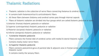 Thalamic Radiations
 Thalamic radiation is the collection of nerve fibers connecting thalamus & cerebral cortex
 It contains both thalamocortical & corticothalamic fibers
 All these fibers between thalamus and cerebral cortex pass through internal capsule
 Fibers of thalamic radiation are divided into four groups which are called thalamic peduncle or stalks
1) Anterior (frontal) thalamic peduncle or radiation
2) Superior (centroparietal) thalamic peduncle or radiation
3) Posterior (occipital) thalamic peduncle or radiation
4) Inferior (temporal) thalamic peduncle or radiation
 1) Anterior thalamic peduncle
• Fibers connects the frontal lobe of cerebral cortex with medial & lateral thalamic nuclei
• Contains mostly motor nerve fibers
 2) Superior thalamic peduncle
• Fibers connects postcentral gyrus of parietal lobe & adjacent area in frontal cortex with lateral mass of
thalamic nuclei
• It contains mainly the sensory fibers
 