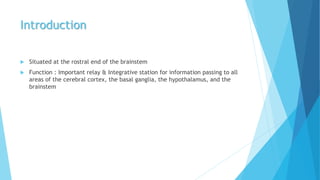 Introduction
 Situated at the rostral end of the brainstem
 Function : Important relay & Integrative station for information passing to all
areas of the cerebral cortex, the basal ganglia, the hypothalamus, and the
brainstem
 