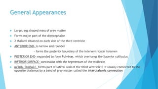 General Appearances
 Large, egg shaped mass of grey matter
 Forms major part of the diencephalon
 2 thalami situated on each side of the third ventricle
 ANTERIOR END- is narrow and rounder
- forms the posterior boundary of the interventricular foramen
 POSTERIOR END- expanded to form Pulvinar, which overhangs the Superior colliculus
 INFERIOR SURFACE- continuous with the tegmentum of the midbrain
 MEDIAL SURFACE- forms part of lateral wall of the third ventricle & it usually connected to the
opposite thalamus by a band of grey matter called the Interthalamic connection
 