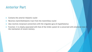 Anterior Part
 Contains the anterior thalamic nuclei
 Receives mammillothalamic tract from the mammillary nuclei
 Also receives reciprocal connections with the cingulate gyrus & hypothalamus
 Function: it is closely associated with that of the limbic system & is concerned with emotional tone &
the mechanism of recent memory
 