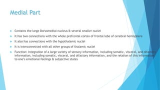 Medial Part
 Contains the large Dorsomedial nucleus & several smaller nuclei
 It has two connections with the whole prefrontal cortex of frontal lobe of cerebral hemisphere
 It also has connections with the hypothalamic nuclei
 It is interconnected with all other groups of thalamic nuclei
 Function: Integration of a large variety of sensory information, including somatic, visceral, and olfactory
information, including somatic, visceral, and olfactory information, and the relation of this information
to one’s emotional feelings & subjective states
 
