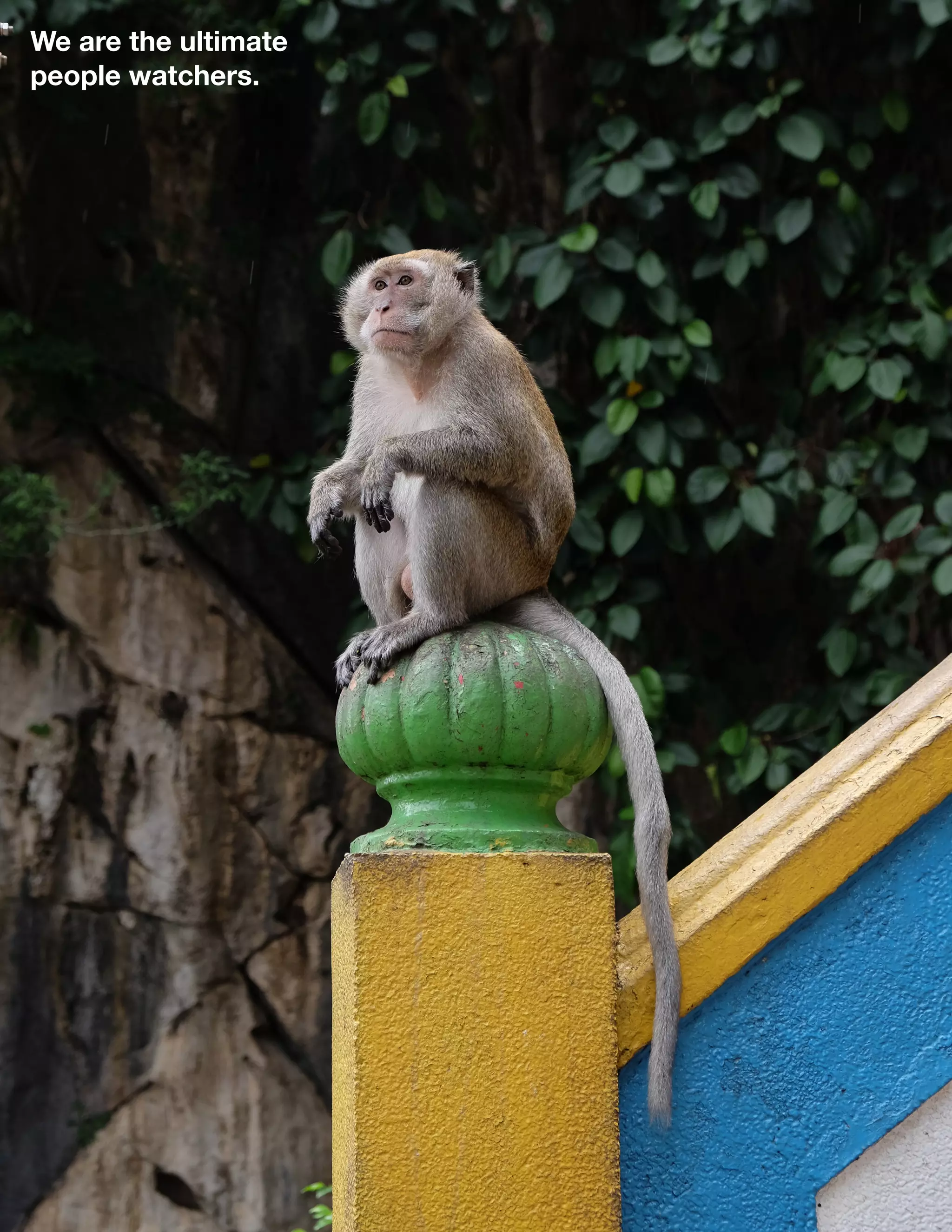 GPC 4Q 15
4
A Q U A R T E R LY N E W S L E T T E R F O R T H E G L O B A L P R O D U C T C O M M I T T E E
We are the ultimate
people watchers.
 