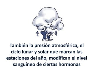 También la presión atmosférica, el
ciclo lunar y solar que marcan las
estaciones del año, modifican el nivel
sanguíneo de ciertas hormonas
 