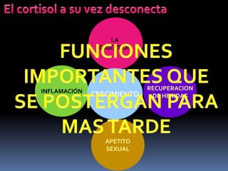 RECUPERACION
DE HERIDAS
INFLAMACIÓN
APETITO
SEXUAL
LA
DIGESTION
CRECIMIENTO
 