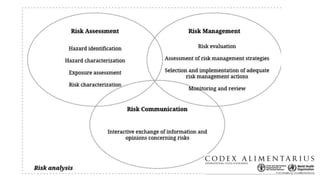 Qmra Examples 4 QMRA Model from FAO WHO (Reviewed by Dr. Chea Rortana) 13 09 2025.pdf