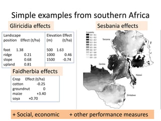 Simple examples from southern Africa
Landscape
position Effect (t/ha)
foot 1.38
ridge 0.21
slope 0.68
upland 0.81
Elevation Effect
(m) (t/ha)
500 1.63
1000 0.46
1500 -0.74
Crop Effect (t/ha)
cotton -0.25
groundnut 0
maize +3.40
soya +0.70
Gliricidia effects
Faidherbia effects
Sesbania effects
+ Social, economic + other performance measures
 