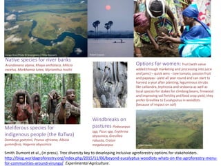 Options for women: fruit (with value
added through marketing and processing into juice
and jams) – quick wins - tree tomato, passion fruit
and papayas - yield all year round and can start to
harvest a year after planting; leguminous shrubs
like calliandra, tephrosia and sesbania as well as
local species for stakes for climbing beans, firewood
and improving soil fertility and food crop yield; they
prefer Grevillea to Eucalyputus in woodlots
(because of impact on soil)
Meliferous species for
indigenous people (the BaTwa)
Dombeya goetzinii, Prunus africana, Albizia
gummifera, Hagenia abyssinica
Native species for river banks
Arundanaria alpina, Khaya anthoteca, Milicia
excelsa, Markhamia lutea, Myrianthus hosltii
Julien Harneis
Windbreaks on
pastures Podocarpus
spp, Ficus spp, Erythrina
abyssinica, Grevillea
robusta, Croton
megalocarpus
Congo River/Photo © Greenpeace / Philip Reynaers Robert Caputo
Rebecca Blackwell / AP
WWF
Smith Dumont et al., (in press). Tree diversity key to developing inclusive agroforestry options for stakeholders.
http://blog.worldagroforestry.org/index.php/2015/11/06/beyond-eucalyptus-woodlots-whats-on-the-agroforestry-menu-
for-communities-around-virunga/ Experimental Agriculture.
 