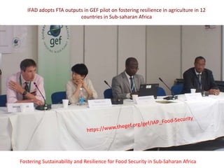 IFAD adopts FTA outputs in GEF pilot on fostering resilience in agriculture in 12
countries in Sub-saharan Africa
Fostering Sustainability and Resilience for Food Security in Sub-Saharan Africa
 