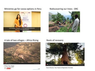 Roots of recoveryA tale of two villages – Africa Rising
Ministries go for cocoa options in Peru Rediscovering our trees - DRC
 