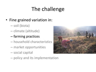 The challenge
• Fine grained variation in:
– soil (biota)
– climate (altitude)
– farming practices
– household characteristics
– market opportunities
– social capital
– policy and its implementation
 