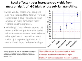 Local effects - trees increase crop yields from
meta analysis of >90 trials across sub Saharan Africa
• Mean yield of maize after coppiced
and non-coppiced tree fallows (various
species) is > 1 t ha-1 doubling default
practice of many farmers in many
years (no nutrient inputs).
• Very large standard error around the
mean – indicates performance varies
with circumstances – we need to know
where particular trees will increase
yields by a large enough amount to
merit farmer input in the technology
0.0
0.2
0.4
0.6
0.8
1.0
1.2
1.4
1.6
1.8
2.0
2.2
2.4
N
aturalfallow
H
G
M
Ls
N
on-coppicing
C
oppicingFullfertilizer
Yielddifference(tha-1
)
Yield difference = Treatment-control yield
Control = maize without nutrient input
HGMLs = herbaceous green manure legumes
Sileshi G, Akinnifesi FK, Ajayi OC and Place F (2008) Meta-
analysis of maize yield response to planted fallow and
green manure legumes in sub-Saharan Africa. Plant and
Soil 307: 1-19.
 