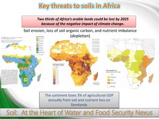 Climate resilient agriculture in Africa | PPTX