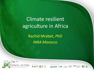 Climate resilient
agriculture in Africa
Rachid Mrabet, PhD
INRA Morocco
 