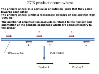 rapd marker, molecular marker by K. K SAHU Sir | PPT