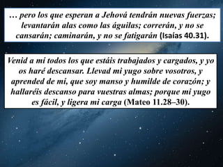 … pero los que esperan a Jehová tendrán nuevas fuerzas; 
levantarán alas como las águilas; correrán, y no se 
cansarán; caminarán, y no se fatigarán (Isaías 40.31). 
Venid a mí todos los que estáis trabajados y cargados, y yo 
os haré descansar. Llevad mi yugo sobre vosotros, y 
aprended de mí, que soy manso y humilde de corazón; y 
hallaréis descanso para vuestras almas; porque mi yugo 
es fácil, y ligera mi carga (Mateo 11.28–30). 
 