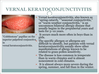 VERNAL KERATOCONJUNCTIVITIS
— Vernal keratoconjunctivitis, also known as
“spring catarrh,” “seasonal conjunctivitis,”
or “warm weather conjunctivitis,” is an
uncommon bilateral allergic disease that
usually begins in the prepubertal years and
lasts for 5–10 years.
— It occurs much more often in boys than in
girls.
— The specific allergen or allergens are
difficult to identify, but patients with vernal
keratoconjunctivitis usually show other
manifestations of allergy known to be
related to grass pollen sensitivity.
— The disease is less common in temperate
than in warm climates and is almost
nonexistent in cold climates.
— It is almost always more severe during the
spring, summer, and fall than in the winter.
“Cobblestone” papillae on the
superior palpebral conjunctiva
in
vernal keratoconjunctivitis.
 