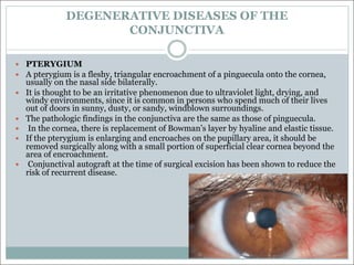 DEGENERATIVE DISEASES OF THE
CONJUNCTIVA
— PTERYGIUM
— A pterygium is a fleshy, triangular encroachment of a pinguecula onto the cornea,
usually on the nasal side bilaterally.
— It is thought to be an irritative phenomenon due to ultraviolet light, drying, and
windy environments, since it is common in persons who spend much of their lives
out of doors in sunny, dusty, or sandy, windblown surroundings.
— The pathologic findings in the conjunctiva are the same as those of pinguecula.
— In the cornea, there is replacement of Bowman’s layer by hyaline and elastic tissue.
— If the pterygium is enlarging and encroaches on the pupillary area, it should be
removed surgically along with a small portion of superficial clear cornea beyond the
area of encroachment.
— Conjunctival autograft at the time of surgical excision has been shown to reduce the
risk of recurrent disease.
 