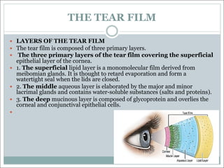 THE TEAR FILM
— LAYERS OF THE TEAR FILM
— The tear film is composed of three primary layers.
— The three primary layers of the tear film covering the superficial
epithelial layer of the cornea.
— 1. The superficial lipid layer is a monomolecular film derived from
meibomian glands. It is thought to retard evaporation and form a
watertight seal when the lids are closed.
— 2. The middle aqueous layer is elaborated by the major and minor
lacrimal glands and contains water-soluble substances (salts and proteins).
— 3. The deep mucinous layer is composed of glycoprotein and overlies the
corneal and conjunctival epithelial cells.
—
 