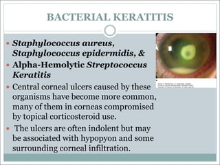 BACTERIAL KERATITIS
— Staphylococcus aureus,
Staphylococcus epidermidis, &
— Alpha-Hemolytic Streptococcus
Keratitis
— Central corneal ulcers caused by these
organisms have become more common,
many of them in corneas compromised
by topical corticosteroid use.
— The ulcers are often indolent but may
be associated with hypopyon and some
surrounding corneal infiltration.
 