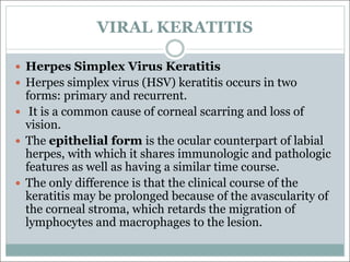 VIRAL KERATITIS
— Herpes Simplex Virus Keratitis
— Herpes simplex virus (HSV) keratitis occurs in two
forms: primary and recurrent.
— It is a common cause of corneal scarring and loss of
vision.
— The epithelial form is the ocular counterpart of labial
herpes, with which it shares immunologic and pathologic
features as well as having a similar time course.
— The only difference is that the clinical course of the
keratitis may be prolonged because of the avascularity of
the corneal stroma, which retards the migration of
lymphocytes and macrophages to the lesion.
 