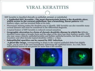 VIRAL KERATITIS
HSV keratitis is classified clinically as epithelial, stromal, or endothelial.
— 1. Epithelial HSV Keratitis—The most characteristic lesion is the dendritic ulcer,
which occurs in the corneal epithelium, has a branching, linear pattern with
feathery edges, and has terminal bulbs at its ends.
— Fluorescein staining makes the dendrite easy to identify. HSV keratitis can also resemble many
corneal diseases and must be considered in the differential diagnosis.
— A typical feature of HSV keratitis is reduced corneal sensation.
— Geographic ulceration is a form of chronic dendritic disease in which the delicate
dendritic lesion takes a broader form and the edges of the ulcer lose their feathery quality. HSV
also may cause a blotchy epithelial keratitis and stellate epithelial keratitis, but these are usually
transitory and often become typical dendrites within 1–2 days.
— Subepithelial opacities can be caused by HSV infection.
— A ghost-like image, corresponding in shape to the original epithelial defect but slightly
larger, can be seen in the area immediately underlying the epithelial lesion. As a rule, these
subepithelial lesions do not persist for more than a few months.
 
