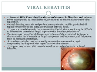 VIRAL KERATITIS
— 2. Stromal HSV Keratitis—Focal areas of stromal infiltration and edema,
often accompanied by vascularization, are likely to be predominantly due to viral
replication.
— Corneal thinning, necrosis, and perforation may develop rapidly, particularly if
topical corticosteroids are being used without antiviral cover.
— If there is stromal disease in the presence of epithelial ulceration, it may be difficult
to differentiate bacterial or fungal superinfection from herpetic disease.
— The features of the epithelial disease need to be carefully scrutinized for herpetic
characteristics, but a bacterial or fungal component may be present, and the patient
must be managed accordingly.
— Stromal necrosis also may be caused by an acute immune reaction, again
complicating the diagnosis with regard to active viral disease.
— Hypopyon may be seen with necrosis as well as secondary bacterial or fungal
infection.
 