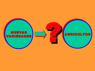 Relaciones publico privada, Por Silmar Teichert Peske