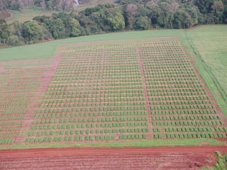 Relaciones publico privada, Por Silmar Teichert Peske