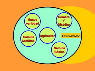 Relaciones publico privada, Por Silmar Teichert Peske