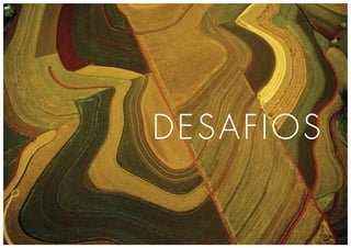 DESAFIOS
 