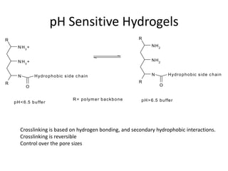 pH Sensitive Hydrogels
R                                                                         R

      N H3 +                                                                    N H2


      N H3 +                                                                    N H2


      N          H y dr o p h o b ic s id e c h a in                            N          H y dr o p h o b ic s id e c h a in

R                                                                         R
           O                                                                         O


                                          R = p o lym e r b a ckb o n e   p H > 6 .5 b u ffe r
    p H < 6 .5 b u ffe r




       Crosslinking is based on hydrogen bonding, and secondary hydrophobic interactions.
       Crosslinking is reversible
       Control over the pore sizes
 