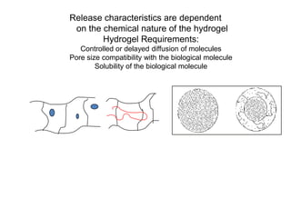Release characteristics are dependent
 on the chemical nature of the hydrogel
        Hydrogel Requirements:
   Controlled or delayed diffusion of molecules
Pore size compatibility with the biological molecule
        Solubility of the biological molecule
 