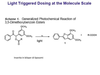 Inserito in bilayer di liposomi
 