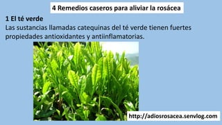 4 Remedios caseros para aliviar la rosácea
1 El té verde
Las sustancias llamadas catequinas del té verde tienen fuertes
propiedades antioxidantes y antiinflamatorias.
http://adiosrosacea.senvlog.com
 