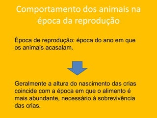 Comportamento dos animais na
época da reprodução
Época de reprodução: época do ano em que
os animais acasalam.
Geralmente a altura do nascimento das crias
coincide com a época em que o alimento é
mais abundante, necessário à sobrevivência
das crias.
 