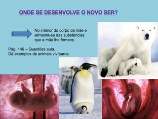 No interior do corpo da mãe e
alimenta-se das substâncias
que a mãe lhe fornece.
Pág. 149 – Questões aula.
Dá exemplos de animais vivíparos.
 