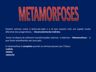 Existem animais como o bicho-da-seda e a rã que nascem com um aspeto muito
diferente dos progenitores. – Desenvolvimento Indireto.
Assim só depois de sofrerem transformações internas e externas – Metamorfoses - é
que ficam semelhantes aos seus pais.
A metamorfose é completa quando os animais passam por 3 fases:
•LARVA
•NINFA
•ADULTO
 