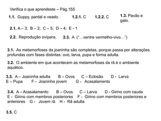 1.1. Guppy, pardal e veado.
Verifica o que aprendeste – Pág.155
1.2.1. C 1.2.2. C 1.3. Pavão e
galo.
3.1. As metamorfoses da joaninha são completas, porque passa por alterações
profundas com fases distintas: ovo, larva, pupa e forma adulta.
3.2. O ambiente em que acontecem as metamorfoses da rã é o ambiente
aquático.
3.3. A – Joaninha adulta B – Ovos C – Eclosão D - Larva
E – Pupa F - Joaninha jovem G - Acasalamento
3.5. C
3.4. A – Acasalamento B – Ovos C – Larva D - Girino com cauda
E - Girino com membros posteriores F - Girino com membros posteriores e
anteriores G - Jovem rã H - Rã adulta
2.1. A – 3; B – 2; C – 5; D – 4; E - 1
2.2. Reprodução ovípara. 2.3. A (“…ventre vermelho-vivo…”)
 