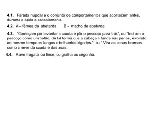4.1. Parada nupcial é o conjunto de comportamentos que acontecem antes,
durante e após o acasalamento.
4.2. A – fêmea da abetarda B - macho de abetarda
4.3. “Começam por levantar a cauda e pôr o pescoço para trás”, ou “Incham o
pescoço como um balão, de tal forma que a cabeça a funda nas penas, exibindo
ao mesmo tempo os longos e brilhantes bigodes.”, ou “ Vira as penas brancas
como a neve da cauda e das asas.
4.4. A ave fragata, ou lince, ou gralha ou cegonha.
 
