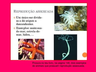 Procura no teu livro, na página 146, dois exemplos
de animais que possuam reprodução assexuada.
 