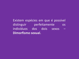 Existem espécies em que é possível
distinguir perfeitamente os
indivíduos dos dois sexos –
Dimorfismo sexual.
 
