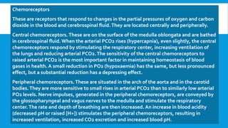 Chemoreceptors
These are receptors that respond to changes in the partial pressures of oxygen and carbon
dioxide in the blood and cerebrospinal fluid.They are located centrally and peripherally.
Central chemoreceptors.These are on the surface of the medulla oblongata and are bathed
in cerebrospinal fluid. When the arterial PCO2 rises (hypercapnia), even slightly, the central
chemoreceptors respond by stimulating the respiratory center, increasing ventilation of
the lungs and reducing arterial PCO2.The sensitivity of the central chemoreceptors to
raised arterial PCO2 is the most important factor in maintaining homeostasis of blood
gases in health. A small reduction in PO2 (hypoxaemia) has the same, but less pronounced
effect, but a substantial reduction has a depressing effect.
Peripheral chemoreceptors. These are situated in the arch of the aorta and in the carotid
bodies.They are more sensitive to small rises in arterial PCO2 than to similarly low arterial
PO2 levels. Nerve impulses, generated in the peripheral chemoreceptors, are conveyed by
the glossopharyngeal and vagus nerves to the medulla and stimulate the respiratory
center.The rate and depth of breathing are then increased. An increase in blood acidity
(decreased pH or raised [H+]) stimulates the peripheral chemoreceptors, resulting in
increased ventilation, increased CO2 excretion and increased blood pH.
 