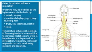 Other factors that influence
respiration
Breathing may be modified by the
higher centers in the brain by:
• speech, singing
• emotional displays, e.g. crying,
laughing, fear
• drugs, e.g. sedatives, alcohol
• sleep.
Temperature influences breathing.
In fever respiration is increased due
to increased metabolic rate while in
hypothermia it is depressed, as is
metabolism.Temporary changes in
respiration occur in swallowing,
sneezing and coughing.
 
